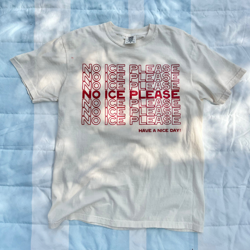 No ICE Please Tee